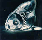 Fish. 1993. Mountain crystal.