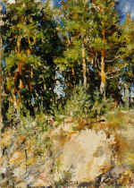Midday. 1995. Canvas, oil. 3257 